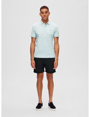 Polo-Selected-DANTE