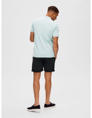Polo-Selected-DANTE