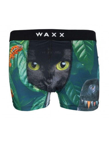 Boxer-WAXX-SWAMP