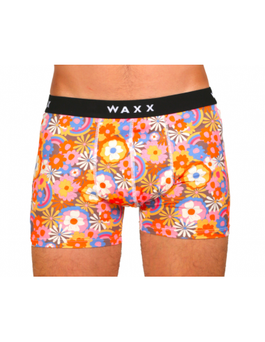 Boxer-WAXX-FLOWER